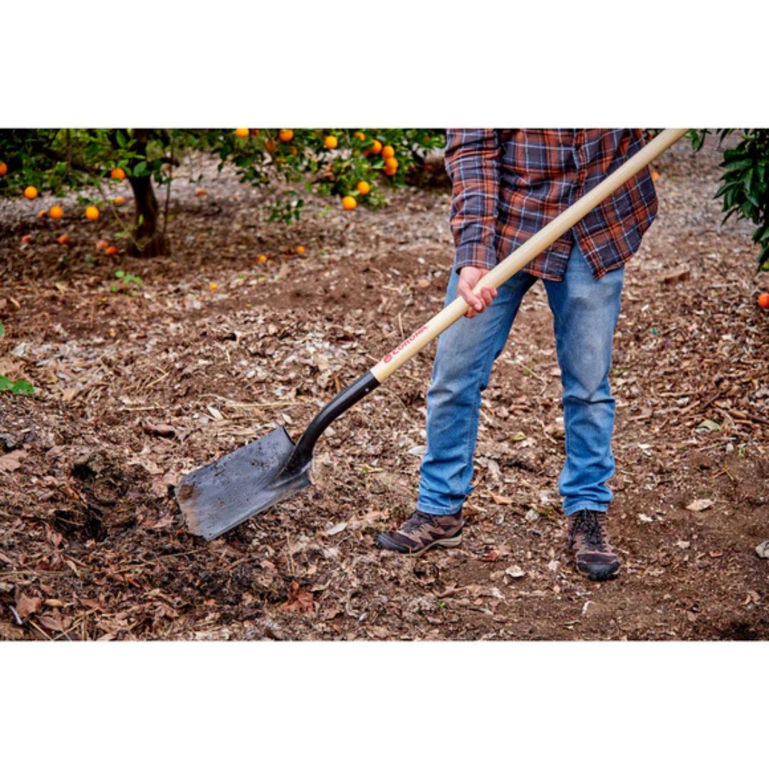 Square Point Shovel – Corona – 12″